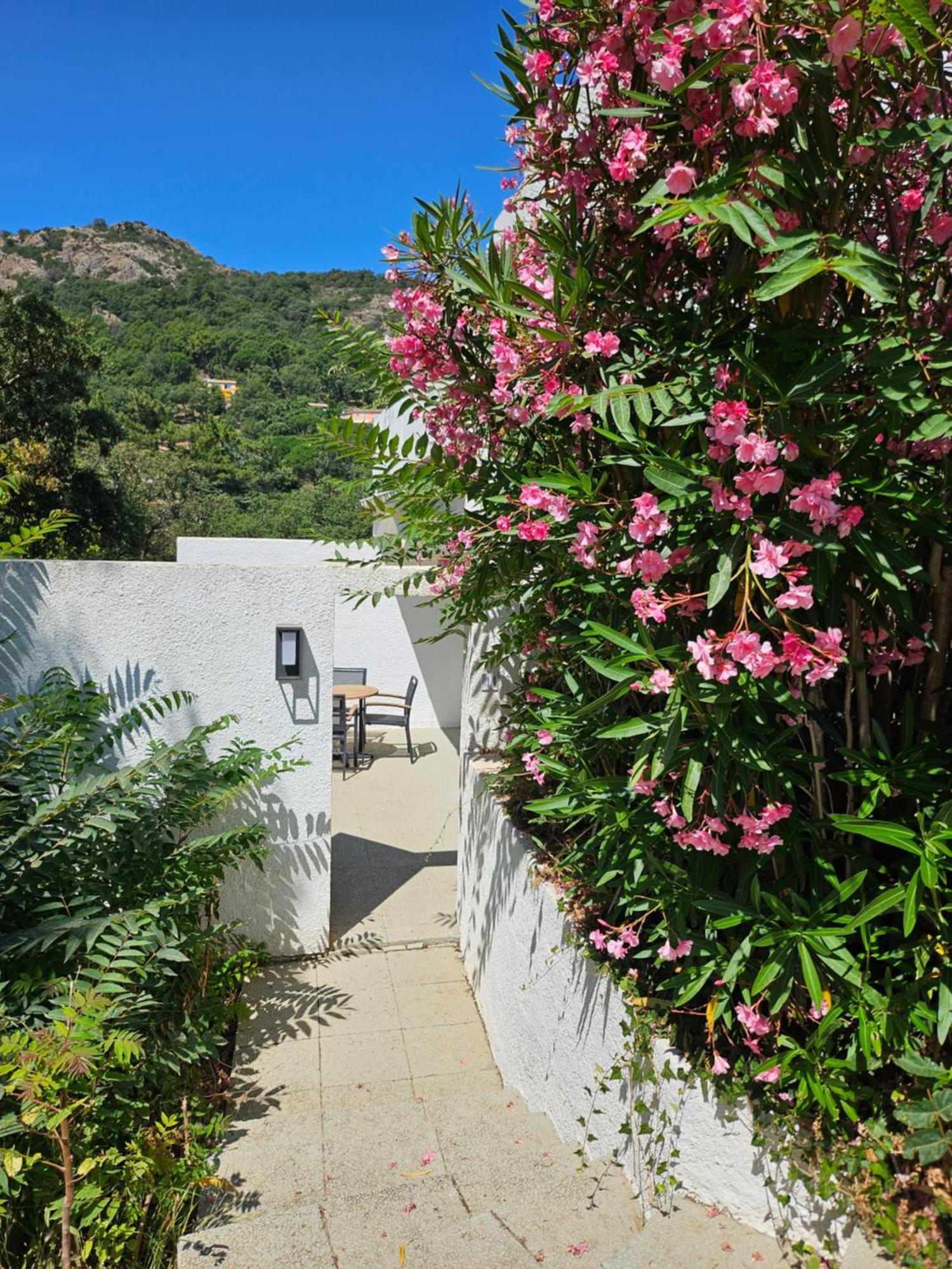 Apartamento Capsud, La Garde-Freinet Exterior foto